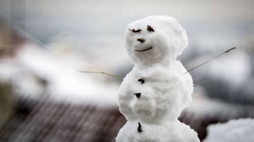 Close up of white flower