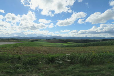 Scenic view of field against sky