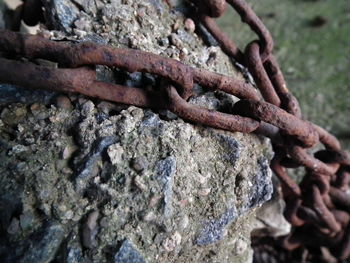 Close-up of rusty metal