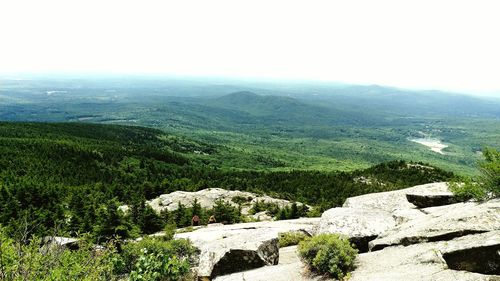 Scenic view of landscape