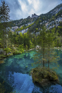 Scenic view of lake by trees against sky