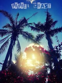 Low angle view of palm trees against sky