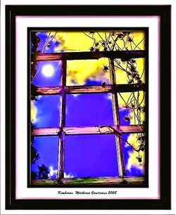 Building seen through glass window