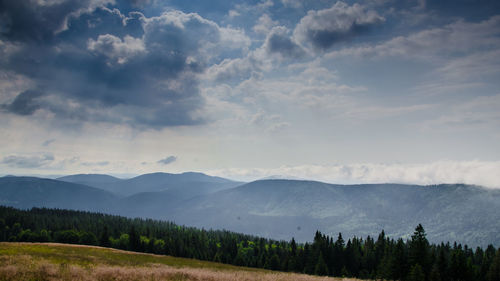 Scenic view of landscape against sky