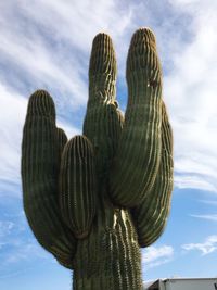 Low angle view of statue of cactus against sky
