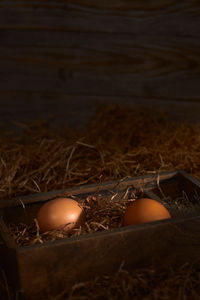 High angle view of eggs in nest