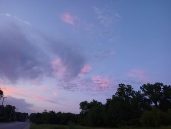 Low angle view of trees against sky during sunset