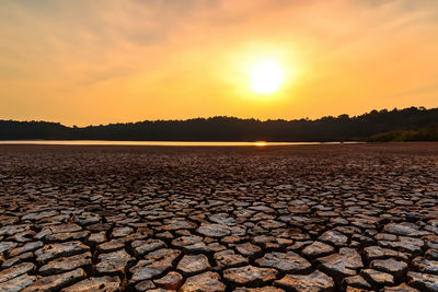 Traces of global warming. confronting the dried and cracked lake bottom. 