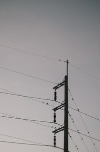 Low angle view of birds perching on electricity pylon against clear sky