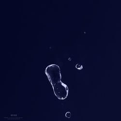 bubble