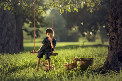Boy playing on swing in park