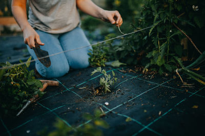 Low section of woman gardening