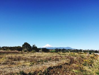 Scenic view of landscape against clear blue sky