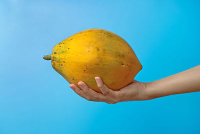 Cropped hand holding papaya against blue background