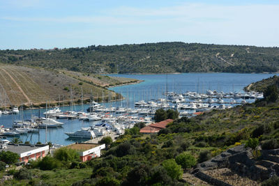 Boats in harbor with buildings in background