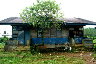 Houses on grassy field