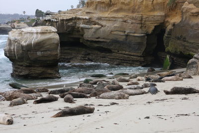 Rocks at beach