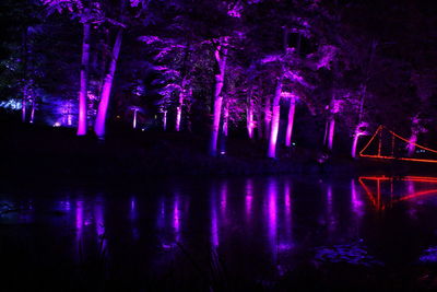 Illuminated trees by lake at night