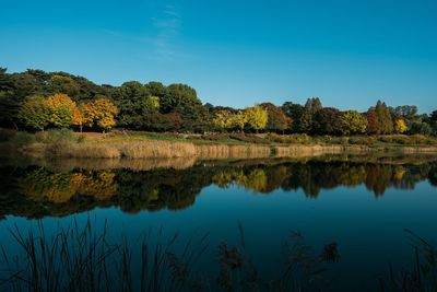 Reflection of trees in lake against clear sky