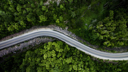 High angle view of country road amidst trees in forest