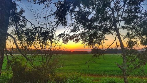 Scenic view of field against sky during sunset