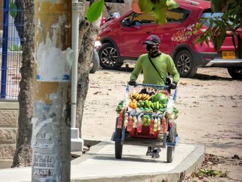 Rear view of people on street in city