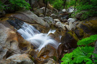 Stream flowing through rocks in forest