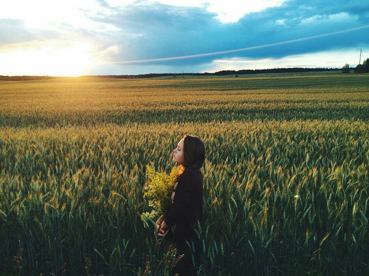 field, sky, agriculture, grass, rural scene, landscape, tranquility, beauty in nature, tranquil scene, farm, nature, scenics, growth, leisure activity, lifestyles, crop, standing, rear view