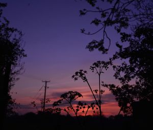 Low angle view of silhouette trees against sky at sunset