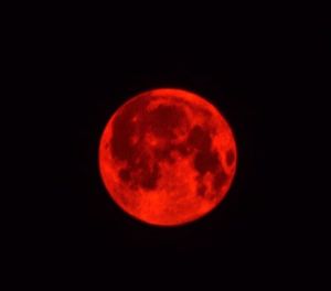 Close-up of moon against sky at night