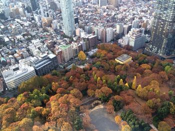 Aerial view of cityscape