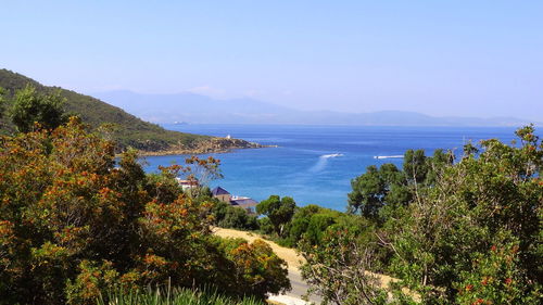 High angle view of sea and trees against sky