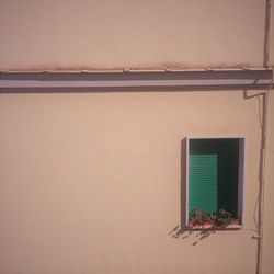Window on wall of building