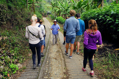 Rear view of women walking on footpath