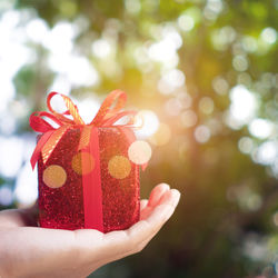 Close-up of hand holding christmas decoration