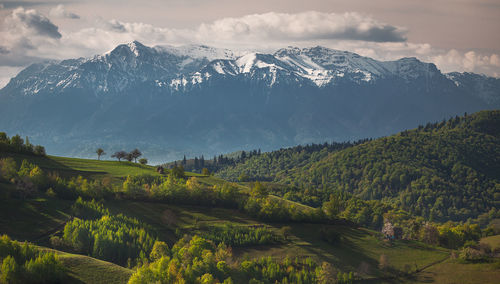 Springtime with villages near snowcapped bucegi mountains