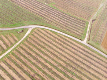 Full frame shot of agricultural field