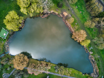 High angle view of lake amidst trees