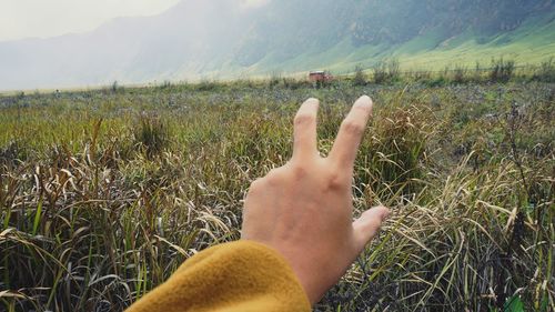 Close-up of hand on field against sky