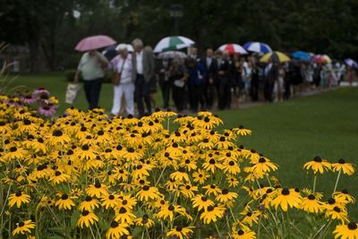 Group of people at park with yellow flowers blooming in foreground