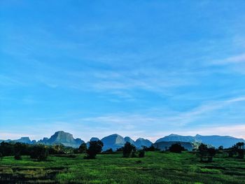 Scenic view of field against blue sky