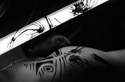 Close-up of cropped car