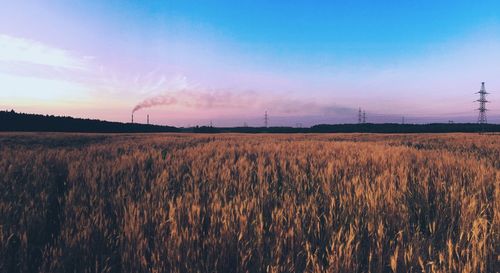 Scenic view of field against clear sky