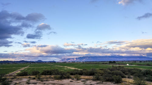 Scenic view of field against sky