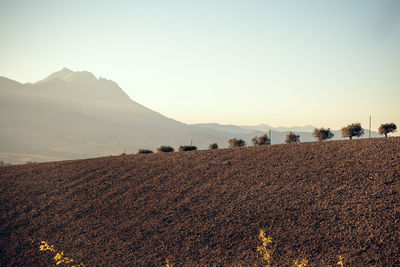 Scenic view of hill and mountain against clear sky during sunset