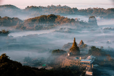 High angle view of trees on landscape against sky