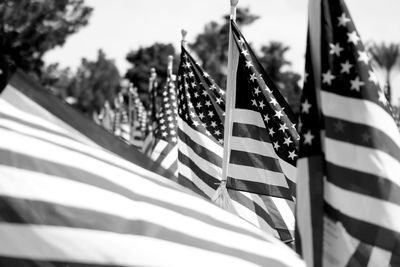 Close-up of american flags