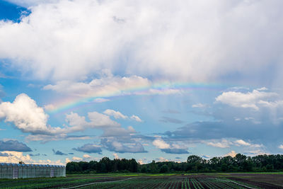 Scenic view of field against sky