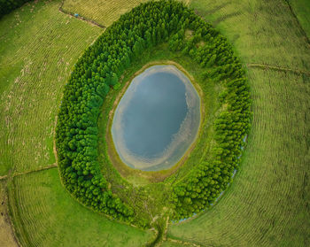 Directly below shot of green land against sky