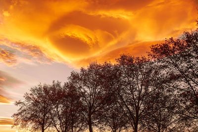 Low angle view of silhouette trees against sky during sunset